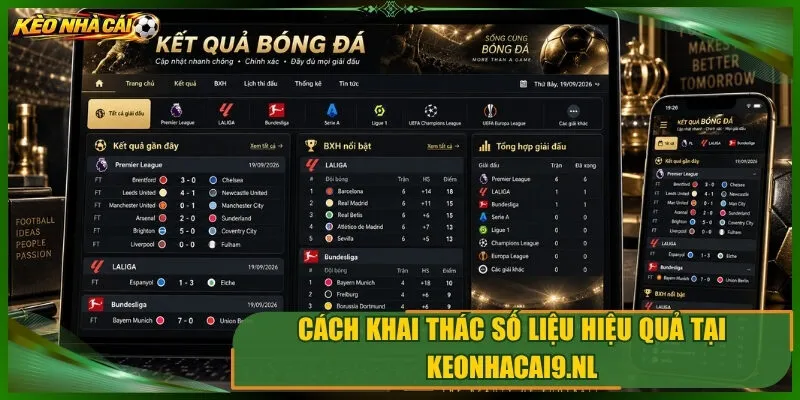 Cách khai thác số liệu hiệu quả tại generateqrcode.io
