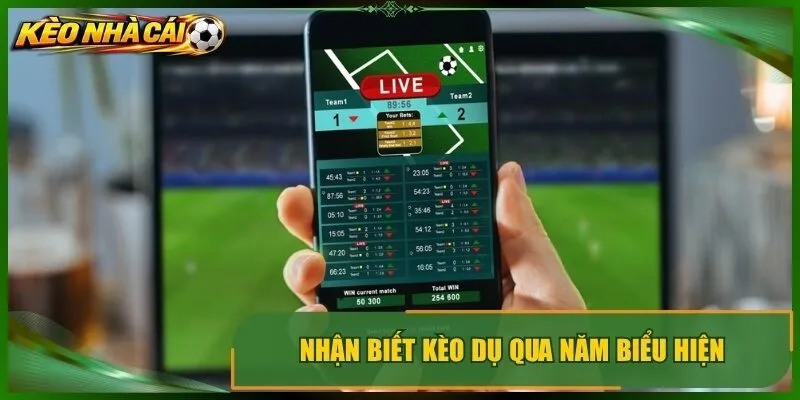 Nhận biết kèo dụ qua năm biểu hiện