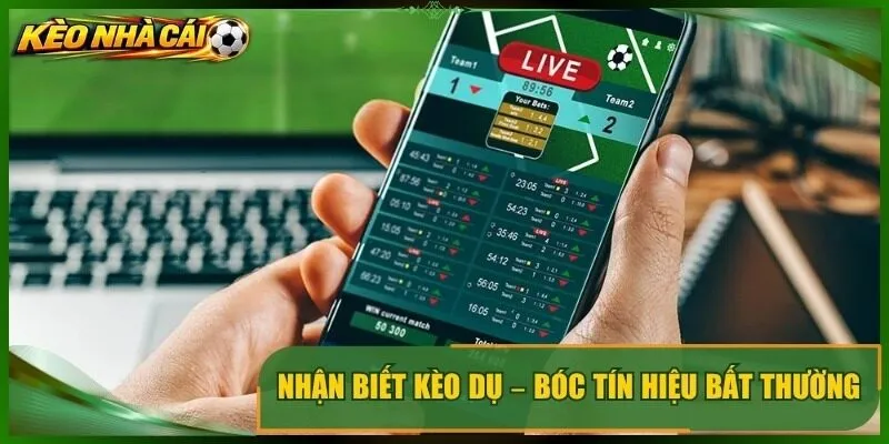 Nhận Biết Kèo Dụ – Bóc Tín Hiệu Bất Thường Từ Mức Chấp