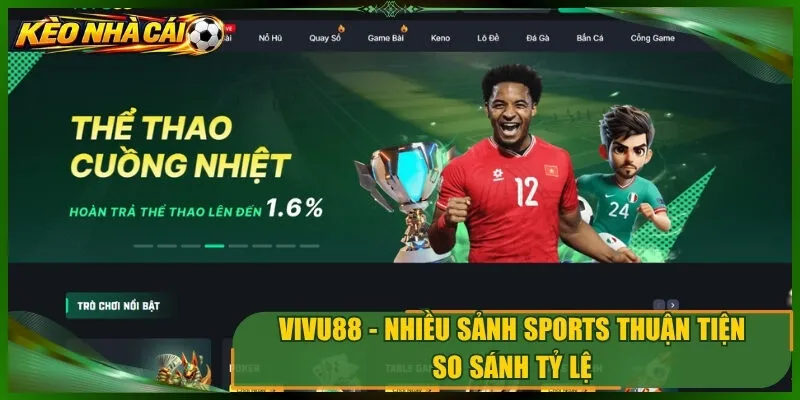 VIVU88 - Nhiều sảnh Sports thuận tiện so sánh tỷ lệ